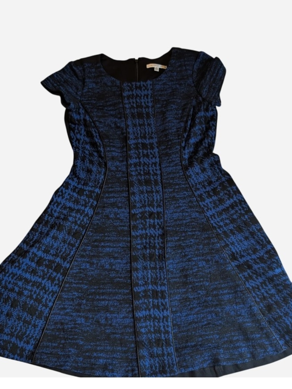 Sandra Darren Blue & Black Fit-and-Flare Mini Dress